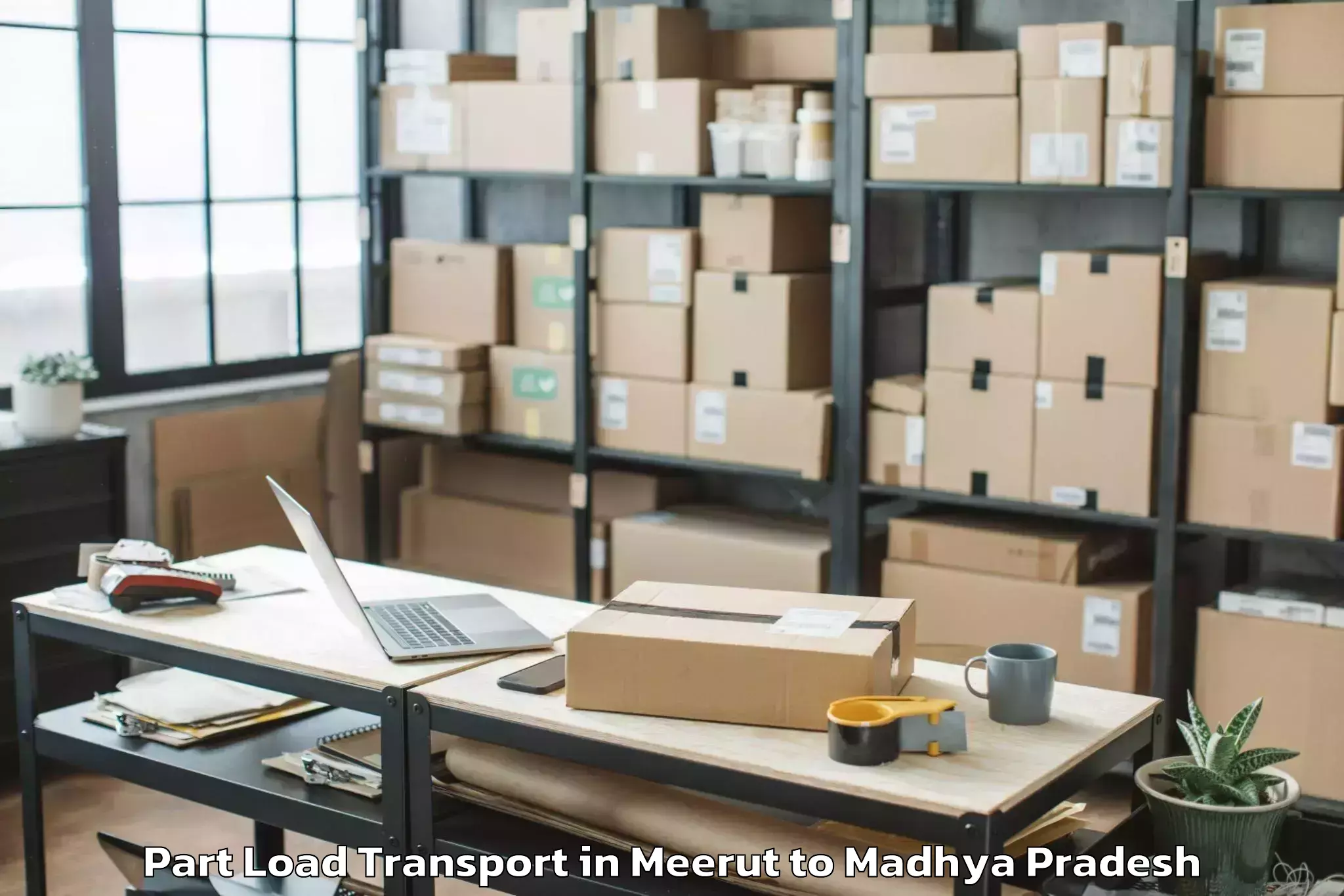 Meerut to Chanderi Part Load Transport Booking